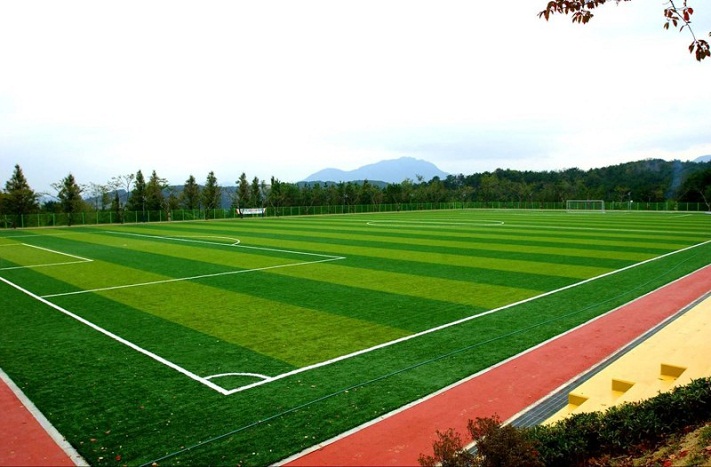Спортивный газон футбольное поле
